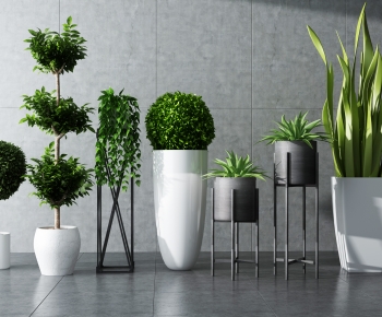 Modern Potted Green Plant-ID:257478005