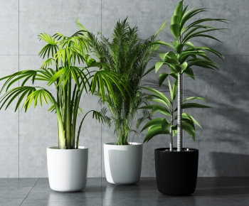 Modern Potted Green Plant-ID:726505996