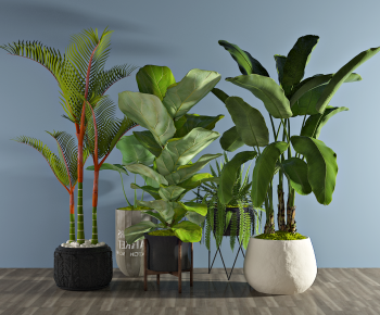 Modern Potted Green Plant-ID:876492982
