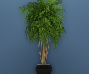 Modern Potted Green Plant-ID:699177987