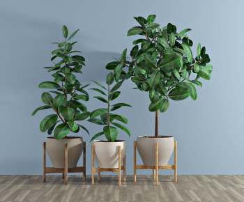 Modern Potted Green Plant-ID:874697925