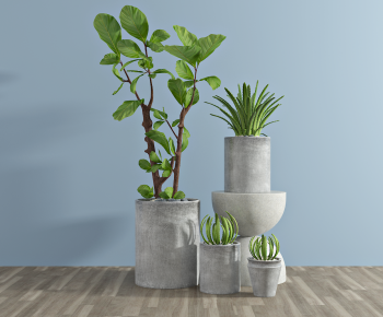 Modern Potted Green Plant-ID:172034037