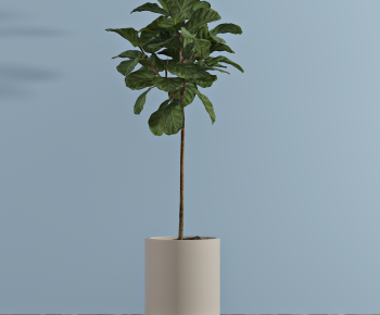 Modern Potted Green Plant-ID:616368063