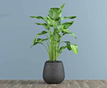 Modern Potted Green Plant-ID:391691921