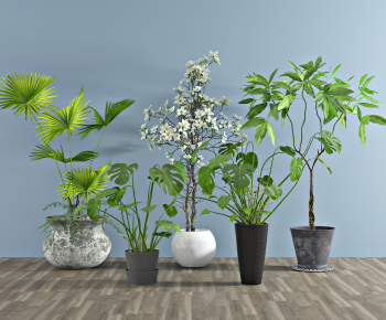 Modern Potted Green Plant-ID:387825016