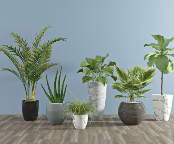 Modern Potted Green Plant-ID:470201975