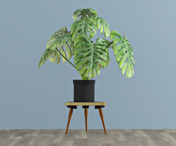 Modern Potted Green Plant-ID:568546068