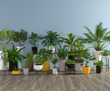 Modern Potted Green Plant-ID:994970881