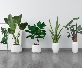 Modern Potted Green Plant-ID:579323054