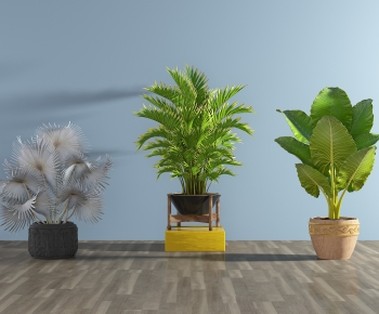 Modern Potted Green Plant-ID:816220054