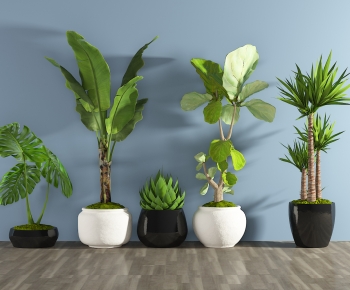 Modern Potted Green Plant-ID:158560344