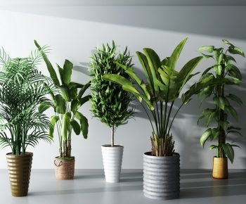 Modern Potted Green Plant-ID:129389052