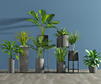 Modern Potted Green Plant-ID:653315075