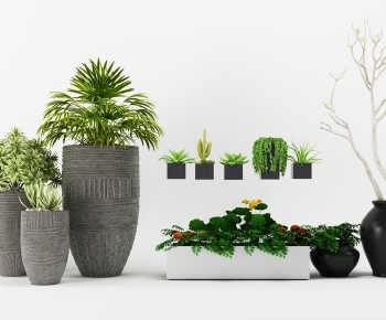 Modern Potted Green Plant-ID:550088887