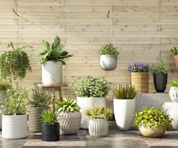 Modern Potted Green Plant-ID:801938067