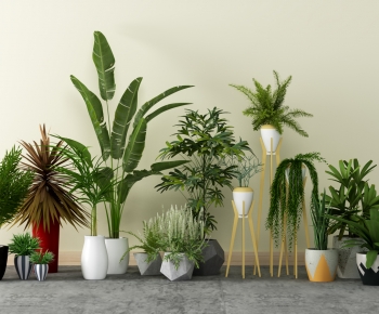Modern Potted Green Plant-ID:679984097