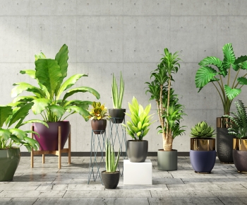 Modern Potted Green Plant-ID:128747944