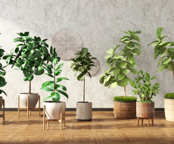 Modern Potted Green Plant-ID:421703108