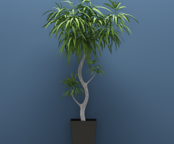 Modern Potted Green Plant-ID:185976988