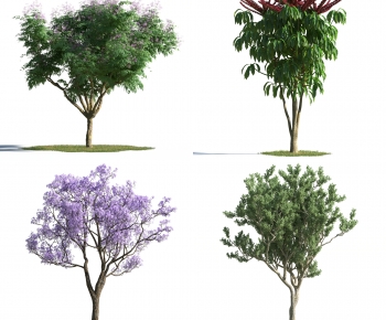 Modern Tree-ID:237572912