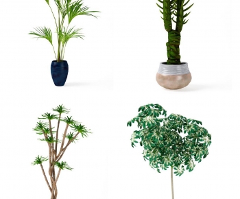 Modern Potted Green Plant-ID:659260997