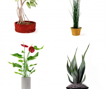 Modern Potted Green Plant-ID:708409076