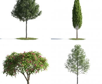 Modern Tree-ID:502846006