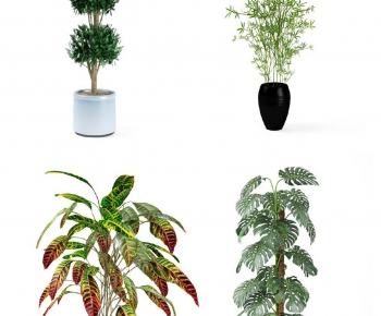 Modern Potted Green Plant-ID:154598008