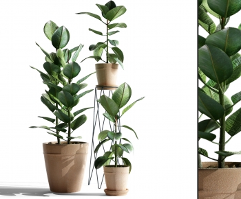 Modern Potted Green Plant-ID:308279991