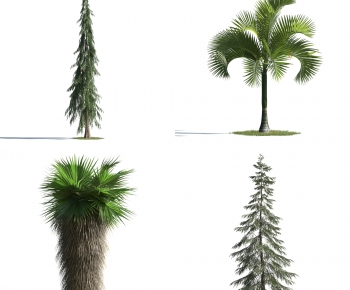 Modern Tree-ID:752570646