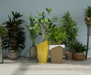 Modern Potted Green Plant-ID:246365074