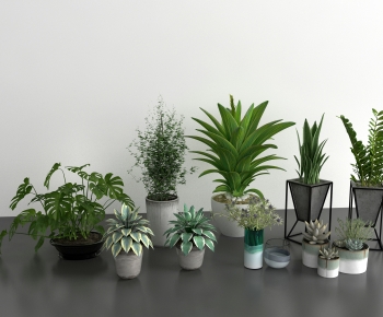 Modern Potted Green Plant-ID:797729029
