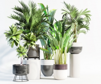 Modern Potted Green Plant-ID:217792996