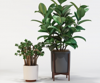 Modern Potted Green Plant-ID:616493946
