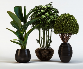 Modern Potted Green Plant-ID:924156903