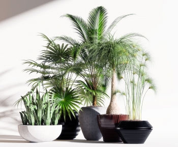 Modern Potted Green Plant-ID:169379735