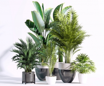 Modern Potted Green Plant-ID:866899017