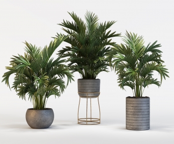 Modern Potted Green Plant-ID:587121011