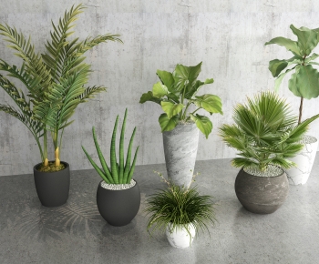 Modern Potted Green Plant-ID:163435945