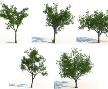 Modern Tree-ID:100069092