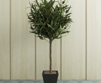 Modern Potted Green Plant-ID:293184043