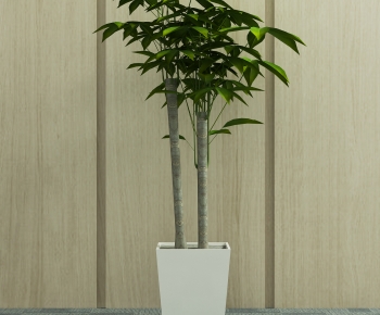 Modern Potted Green Plant-ID:217508083