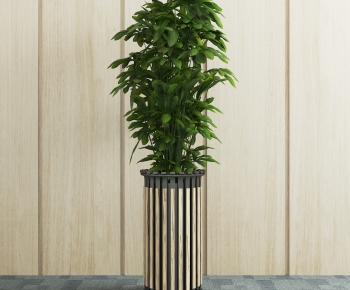 Modern Potted Green Plant-ID:193260918
