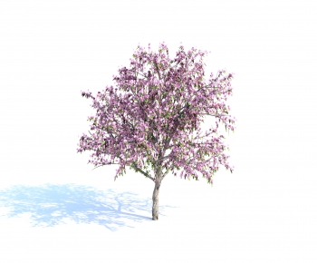 Modern Tree-ID:879811053
