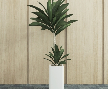 Modern Potted Green Plant-ID:705816985