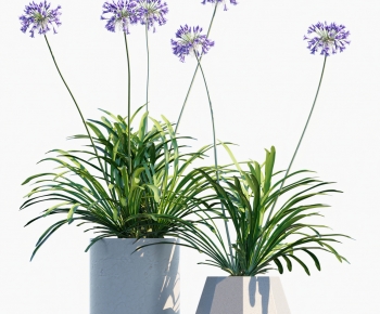Modern Potted Green Plant-ID:617803106