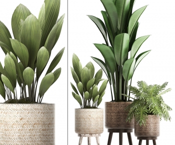Modern Potted Green Plant-ID:564225918