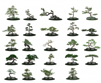 新中式造型松树-ID:578372966