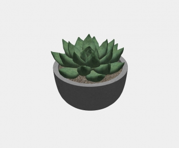 Modern Potted Green Plant-ID:171340942