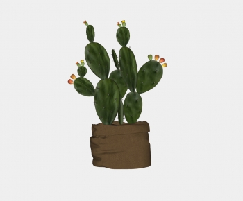 Modern Potted Green Plant-ID:773041012